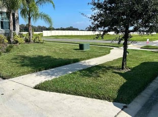 Mary H.'s turf care service result