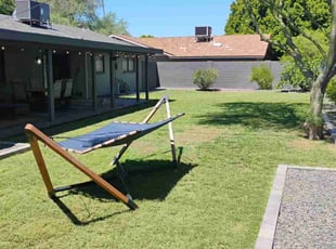 Carol E.'s turf care service result