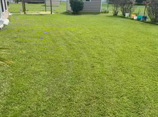 Todd Z.'s lawn care service result