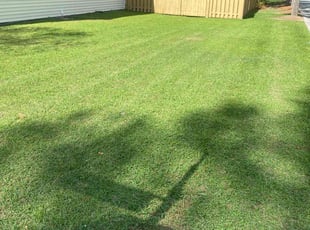 Dean G.'s lawn care service result
