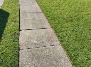 James K.'s landscaping services service result
