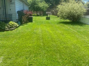 Walter j.'s lawn care services service result