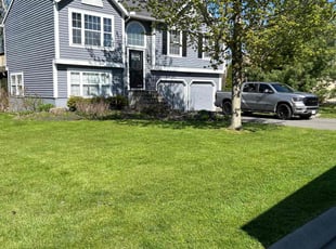 Tranell P.'s lawn care services service result