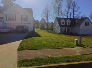 Norma M.'s turf maintenance service result