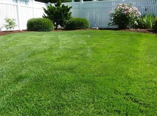Lamelia L.'s lawn care services service result