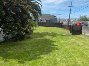 Ramon O.'s turf maintenance service result