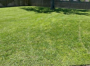 Martin G.'s lawn care services service result