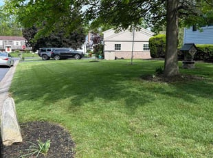 Eileen M.'s lawn service service result