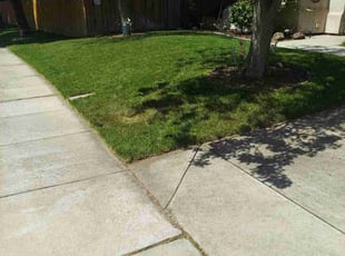 Hassan H.'s lawn care services service result