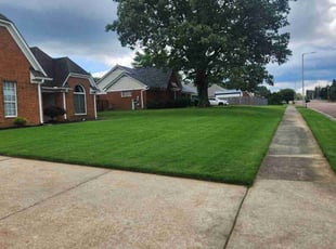 Tressa W.'s lawn care service result