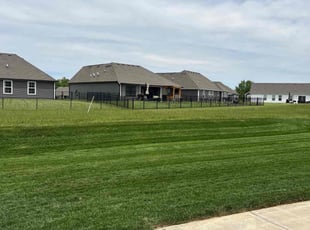 Nancy P.'s grass maintenance service result