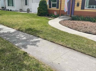 Vanessa W.'s grass maintenance service result