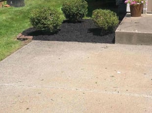 Mark S.'s Bush Trimming service result