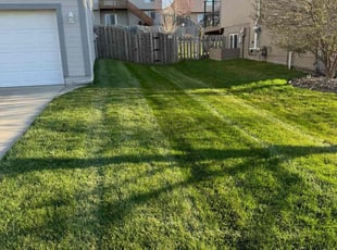 Melissa R.'s grass maintenance service result