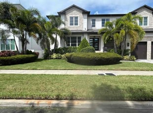 Vincente P.'s Bush Trimming service result