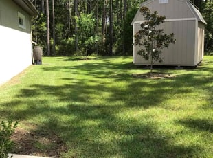 Faith S.'s turf care service result