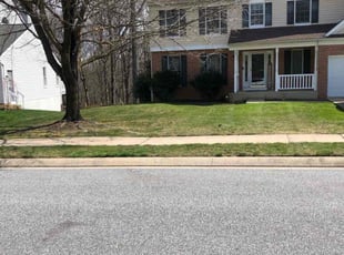 Teresa I.'s turf care service result