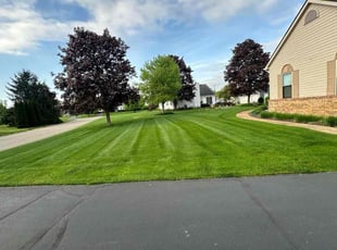 Jen K.'s lawn maintenance service result