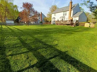 Scott S.'s lawn service service result