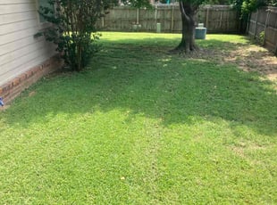 Munci M.'s lawn maintenance service result