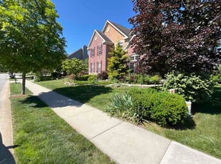 Kim L.'s lawn maintenance service result