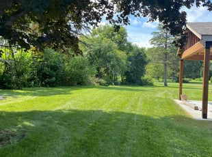 Ben D.'s lawn care service result