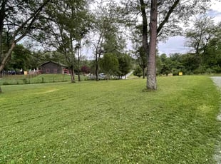 Xzavier D.'s turf care service result