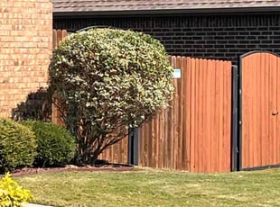 Randy P.'s Bush Trimming service result
