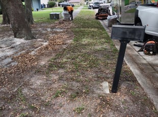Zahin R.'s Leaf Removal service result