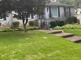 Jason N.'s Bush Trimming service result