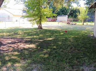 Jodi E.'s turf care service result