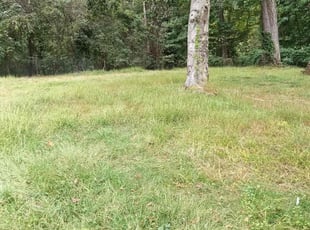 Lawrence S.'s lawn care services service result