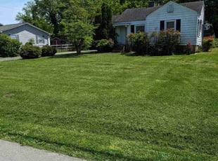 Kenneth B.'s lawn care services service result