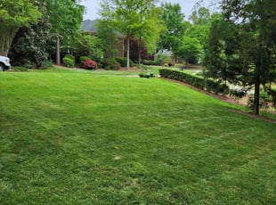 Spencer D.'s lawn service service result