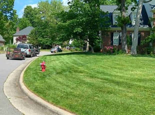 Matthew j.'s lawn care service result