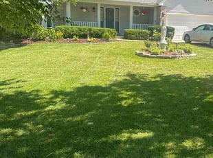 Alison S.'s turf maintenance service result