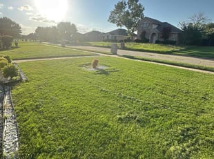 Antonio G.'s turf maintenance service result