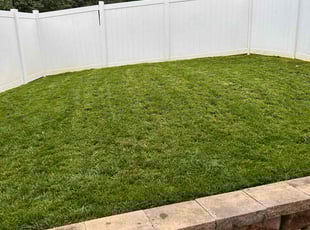 Kiara R.'s lawn care services service result