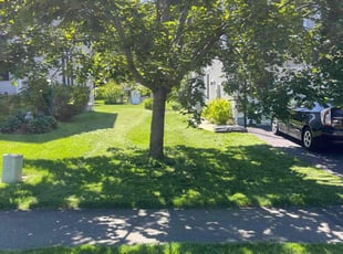 Walter C.'s lawn service service result