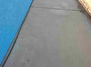 Latoya R.'s turf maintenance service result