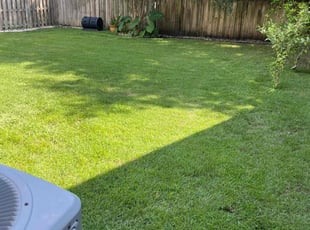Siggesbee g.'s turf care service result