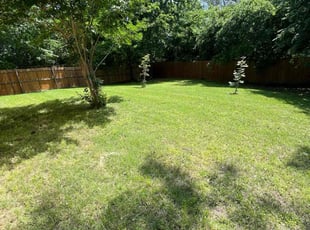 Kaylin S.'s lawn care service result
