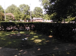 Ben A.'s turf care service result