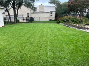 Richelle B.'s grass maintenance service result