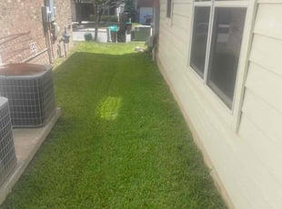 Elizabeth P.'s grass maintenance service result