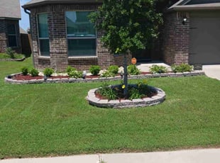 Destiny M.'s Do NOT EDGE around Trees service result