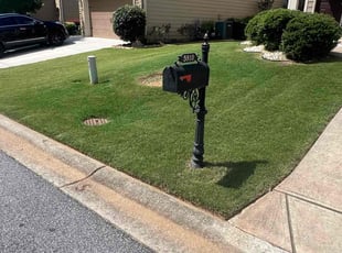 Yaroslav M.'s lawn care services service result
