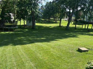 John D.'s grass maintenance service result