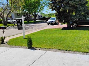 Brenda N.'s lawn maintenance service result