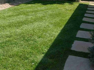 Paul F.'s lawn care services service result